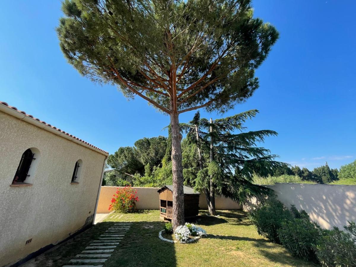 Villeneuve-lès-Béziers Annexe Des Pins - Studio Gite Avec Piscine & Climatisation מראה חיצוני תמונה